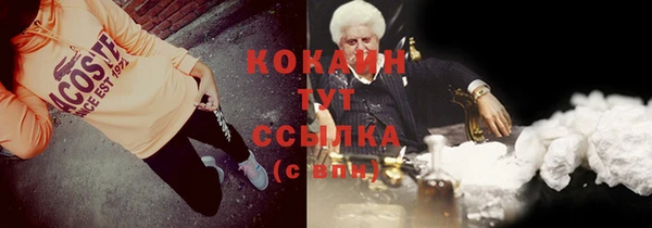 шишки Вяземский