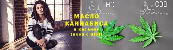 шишки Вяземский