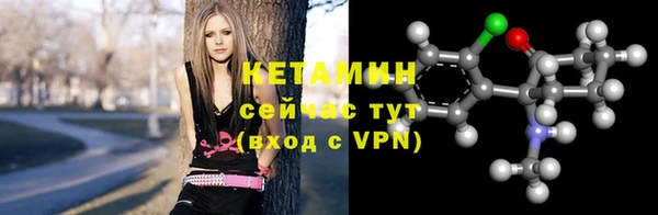 шишки Вяземский
