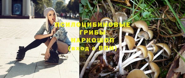 шишки Вяземский