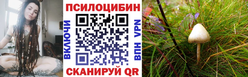 Купить  Нефтекамск  Галлюциногенные грибы Psilocybe 